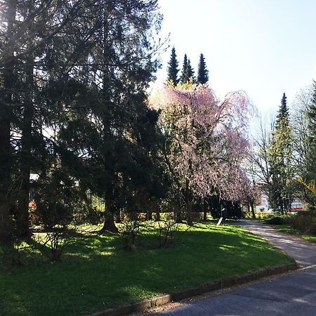 Vintage Apartments Копршивнице Экстерьер фото